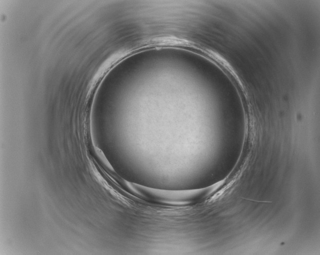 X0000057091381200509091302