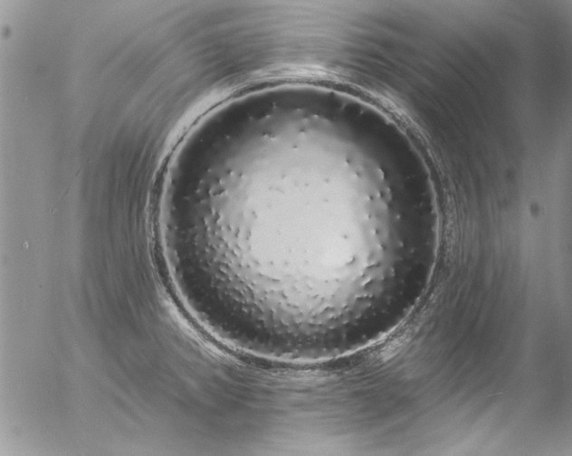 X0000057091382200509091302