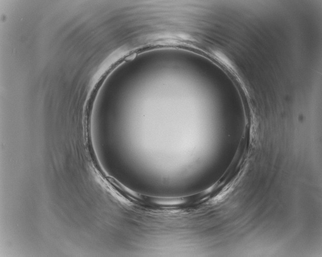 X0000057091384200509091302