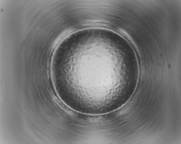 X0000057091386200509091302