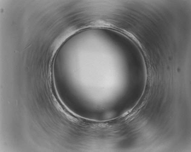 X0000057091387200509091302