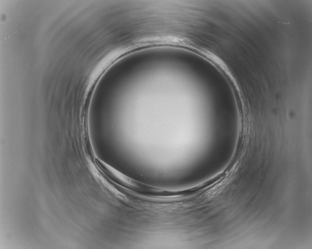 X0000057091389200509091302