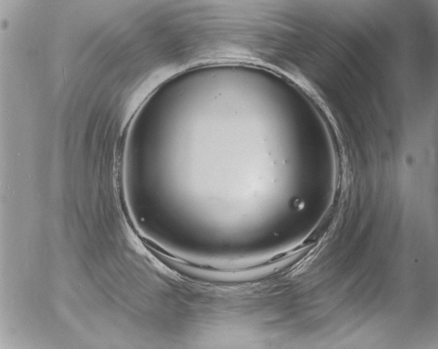 X0000057091390200509091302