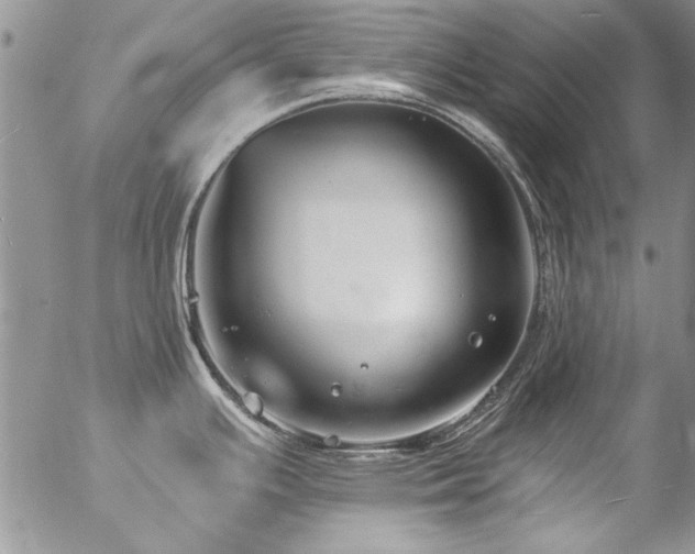 X0000057091391200509091302