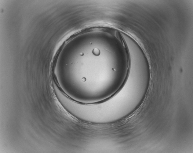 X0000057091392200509091302