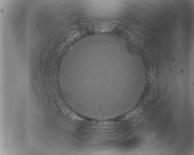 X0000057091393200509091301