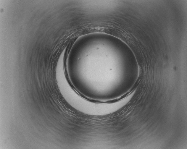 X0000057091394200509091301