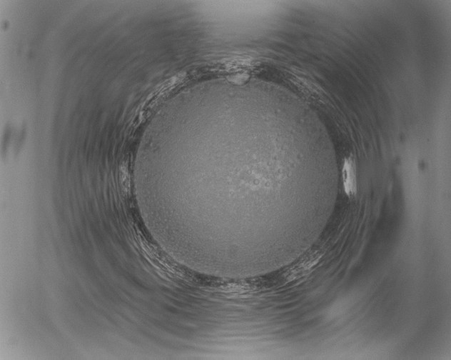 X0000057091395200509091301