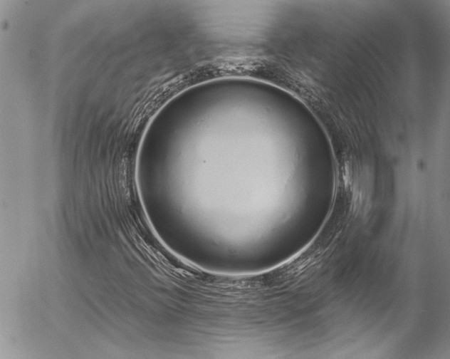 X0000057091396200509091301