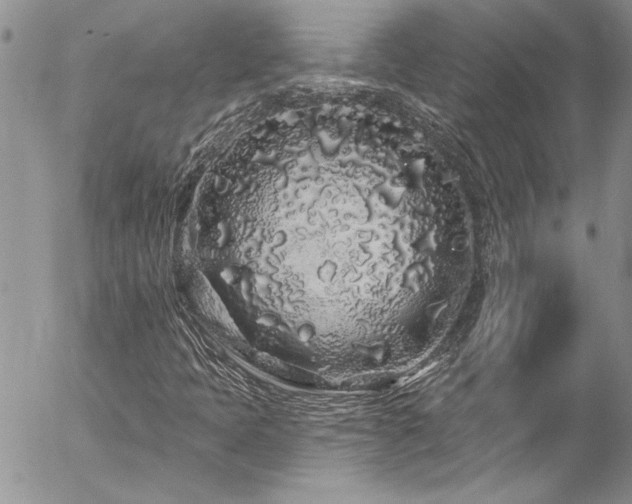 X0000057091397200509091301