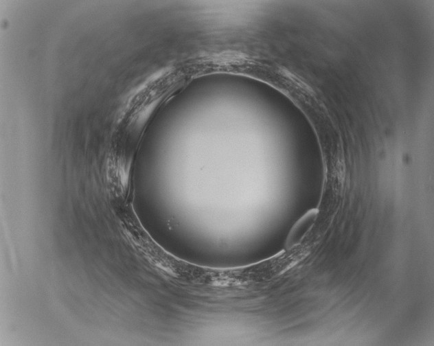 X0000057091398200509091301