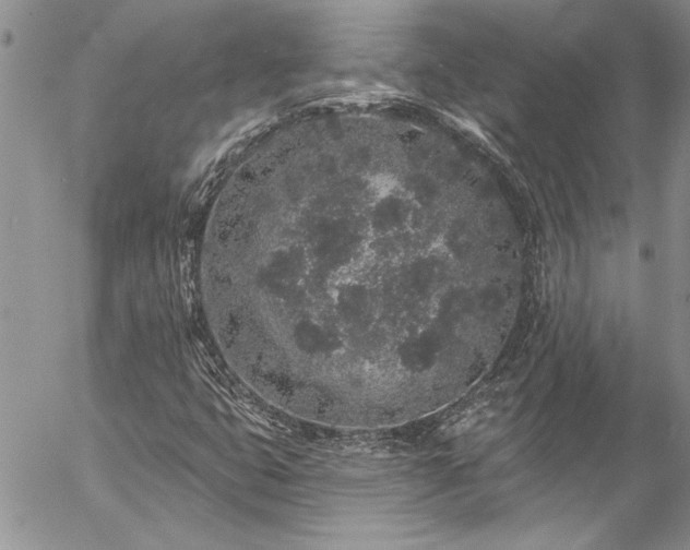 X0000057091399200509091301