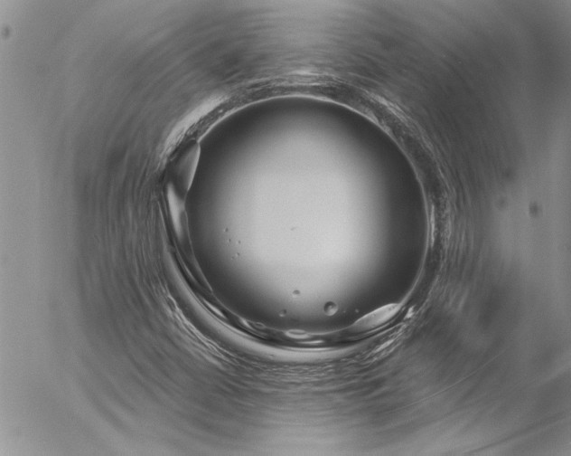 X0000057091402200509091301