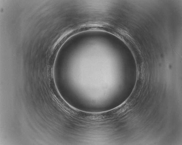 X0000057091404200509091301