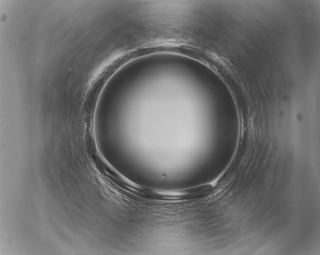 X0000057091406200509091301