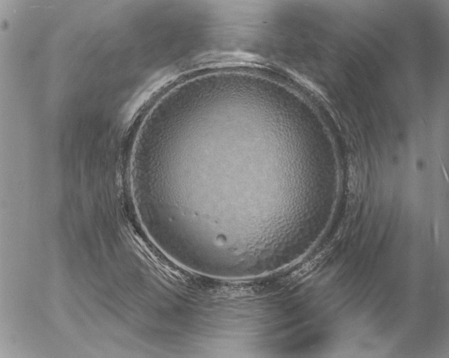 X0000057091407200509091301