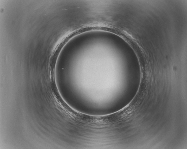 X0000057091408200509091301