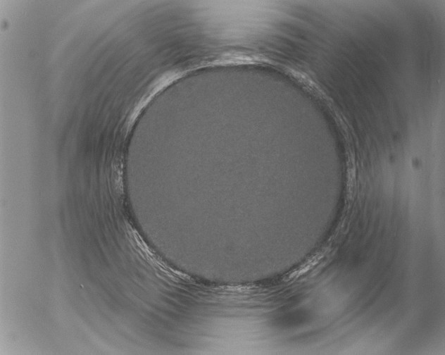 X0000057091409200509091301