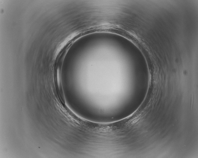 X0000057091410200509091301