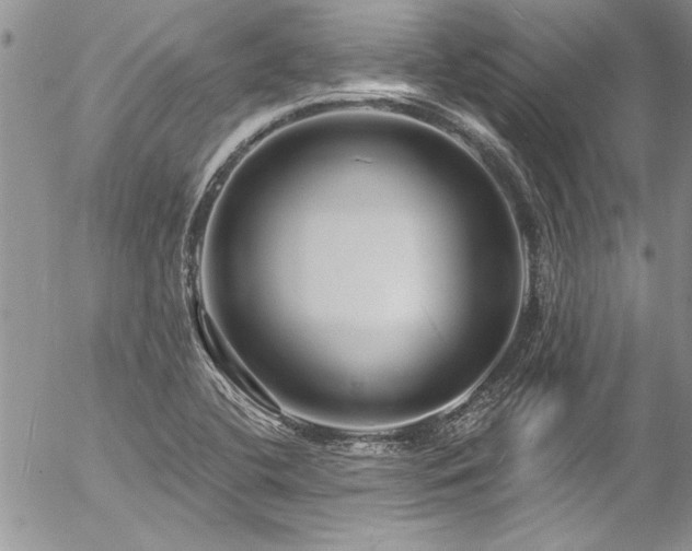 X0000057091412200509091302