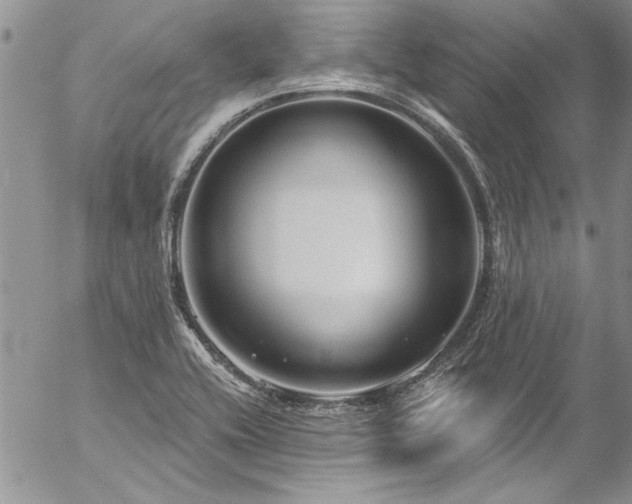 X0000057091416200509091302