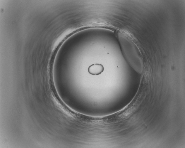 X0000057091422200509091302