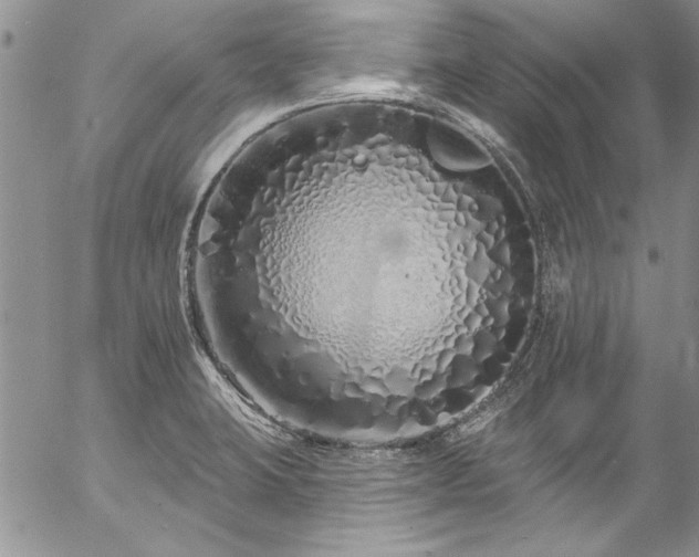 X0000057091423200509091302