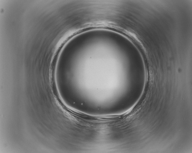 X0000057091424200509091302