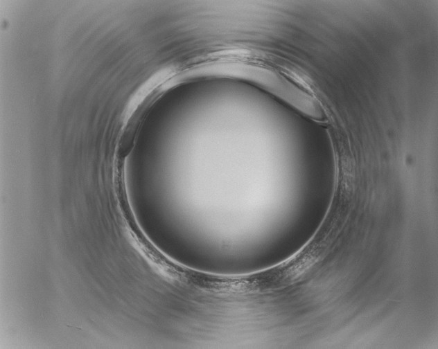 X0000057091426200509091302