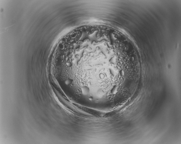 X0000057091429200509091302