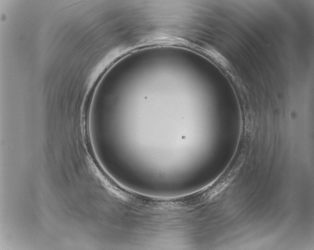 X0000057091430200509091302