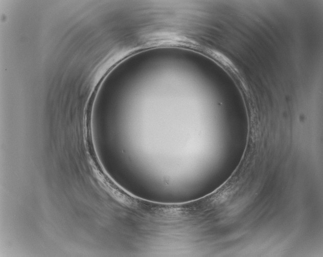 X0000057091431200509091302