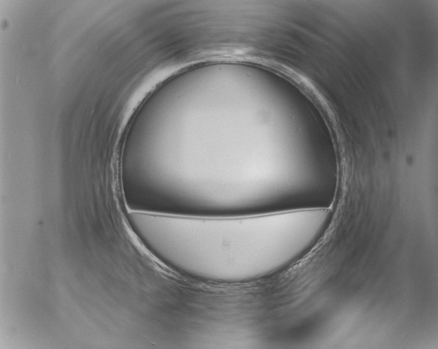 X0000057091432200509091302