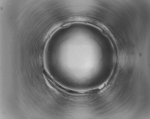 X0000057091433200509091302