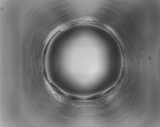 X0000057091434200509091302