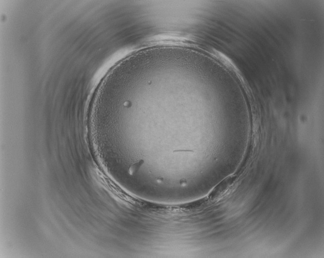 X0000057091435200509091302