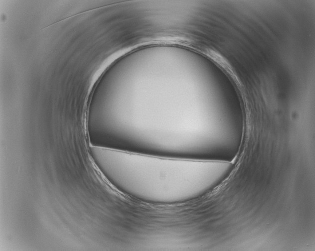 X0000057091436200509091302