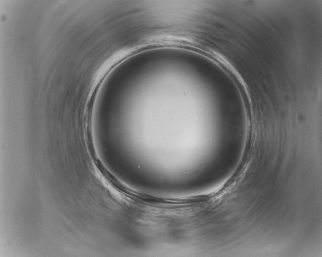 X0000057091437200509091302