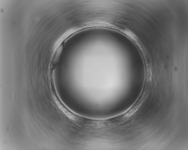 X0000057091438200509091302