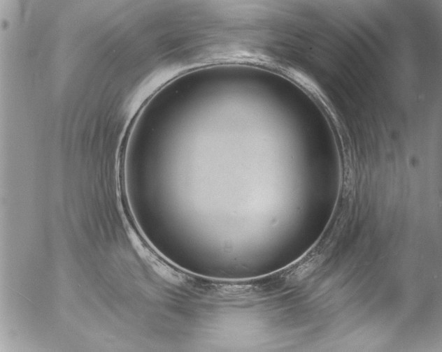 X0000057091439200509091302