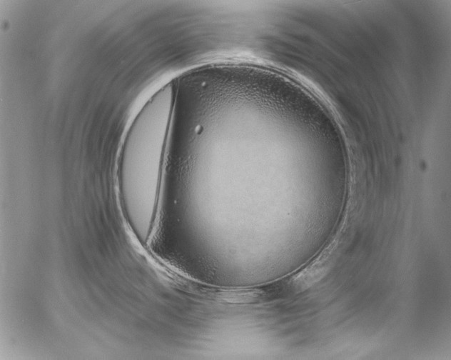 X0000057091440200509091302