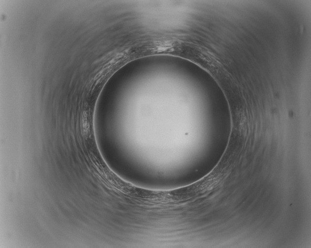 X0000057091442200509091301