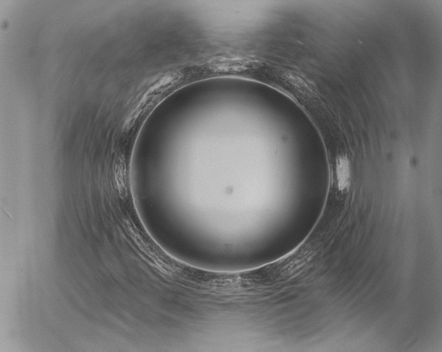 X0000057091444200509091301