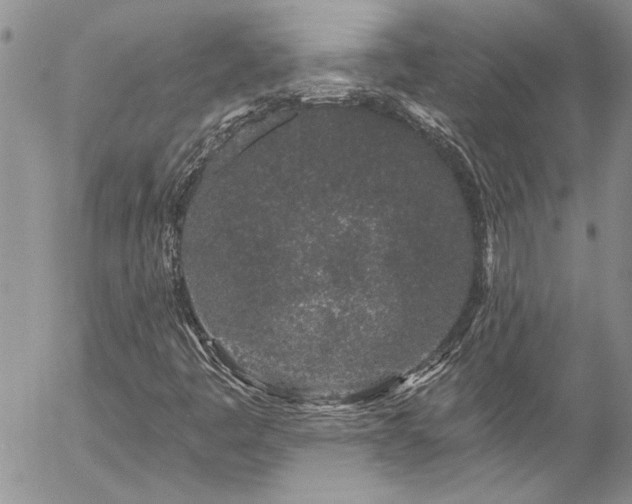 X0000057091445200509091301