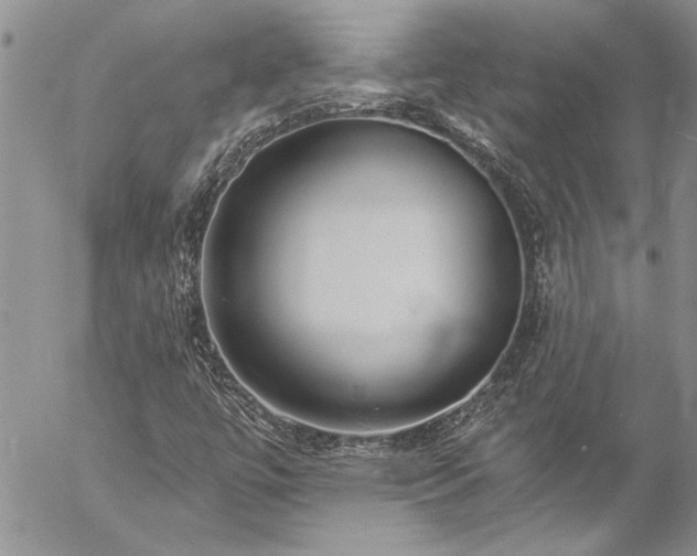 X0000057091447200509091301