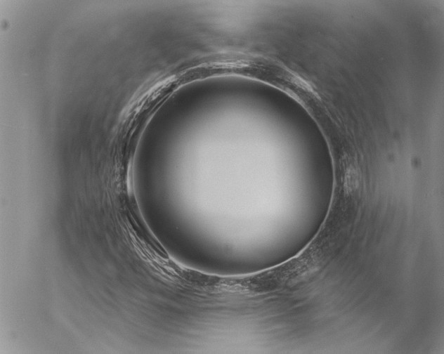 X0000057091448200509091301