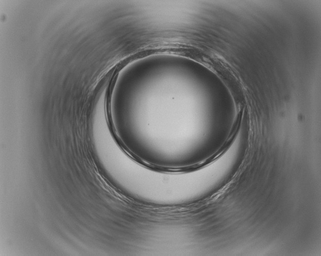 X0000057091449200509091301