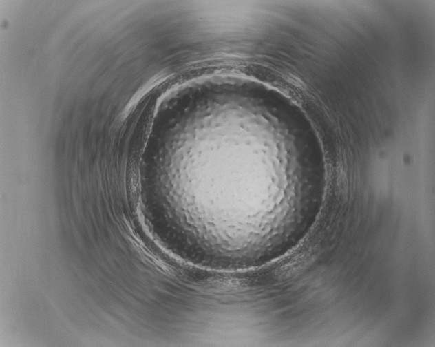 X0000057091450200509091301