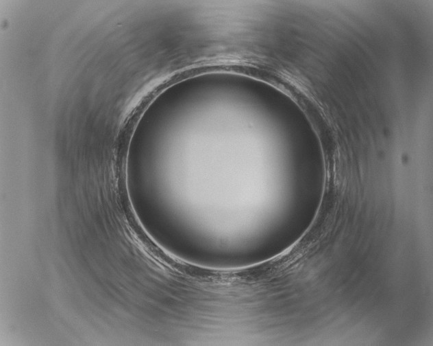 X0000057091452200509091301