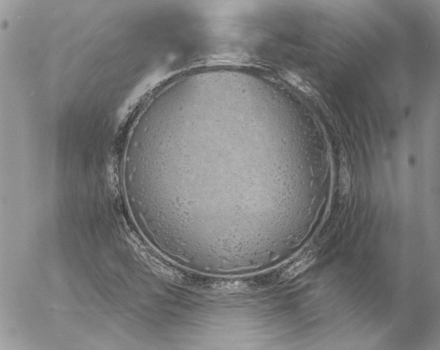 X0000057091454200509091301